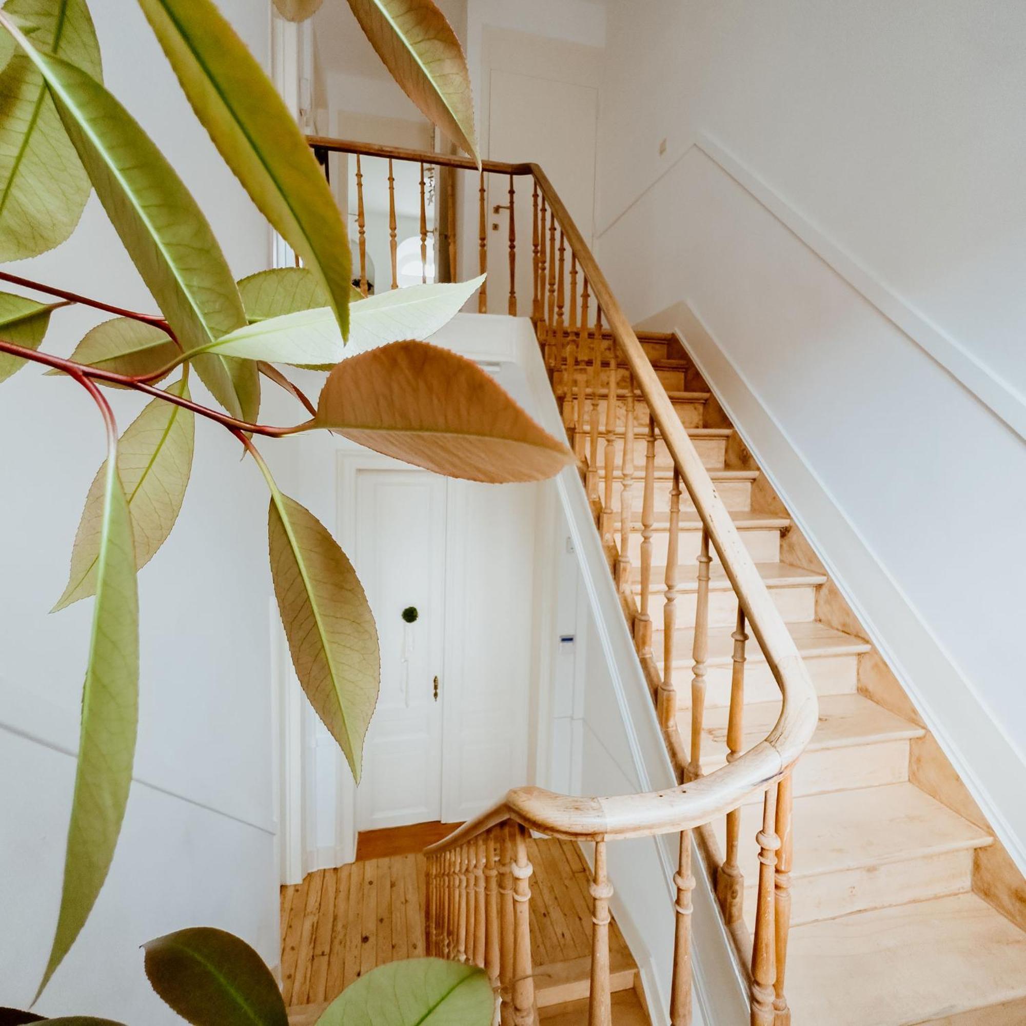 Ambiorix Residence ブリュッセル エクステリア 写真